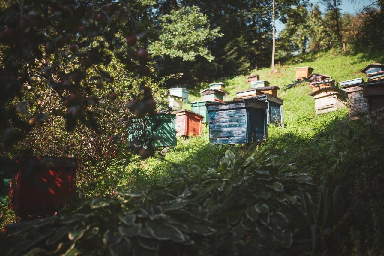Pasieka - Dom Wypoczynkowy Bacza Esterno foto