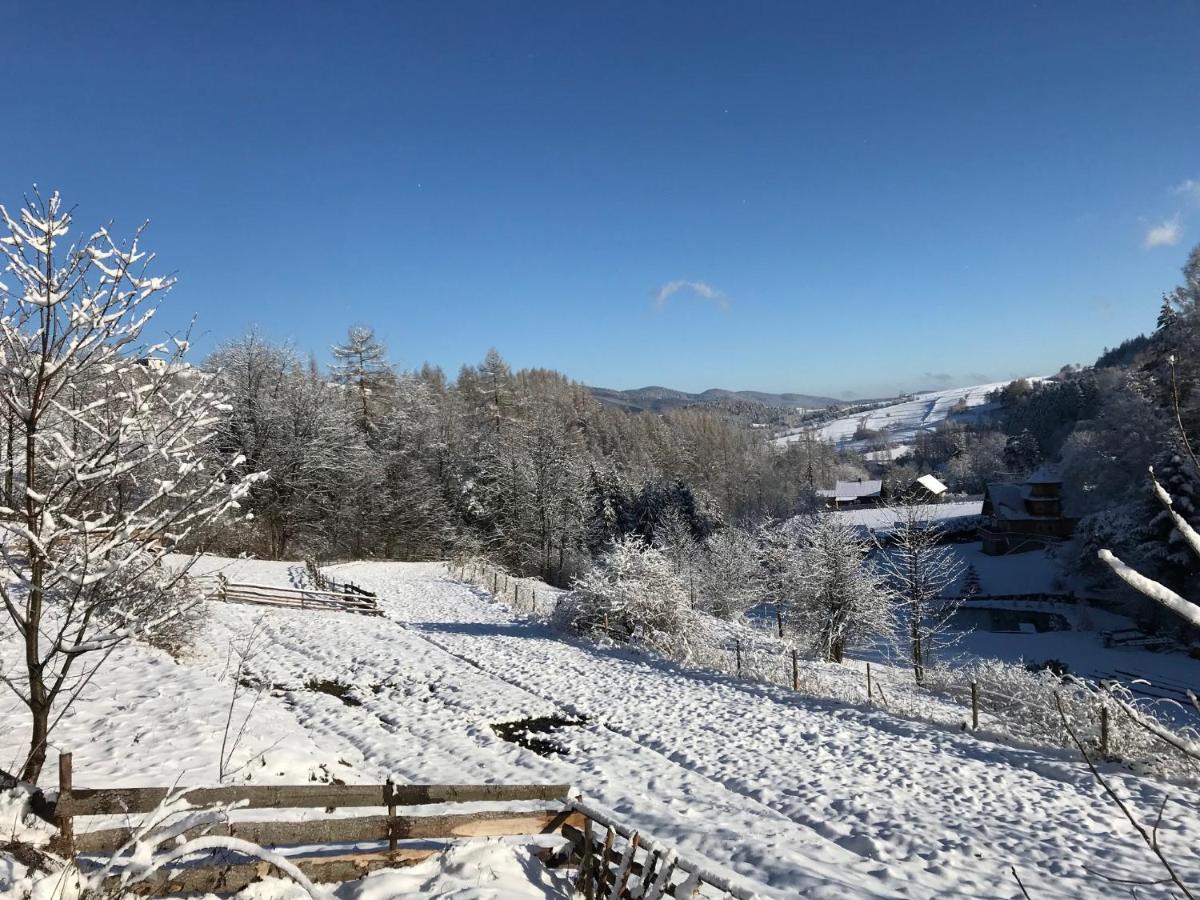 Pasieka - Dom Wypoczynkowy Bacza Esterno foto