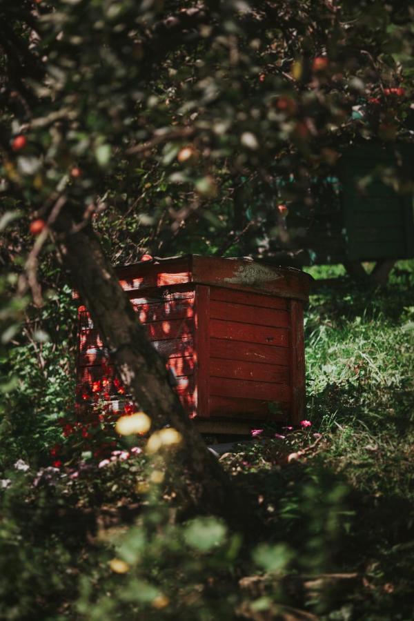Pasieka - Dom Wypoczynkowy Bacza Esterno foto