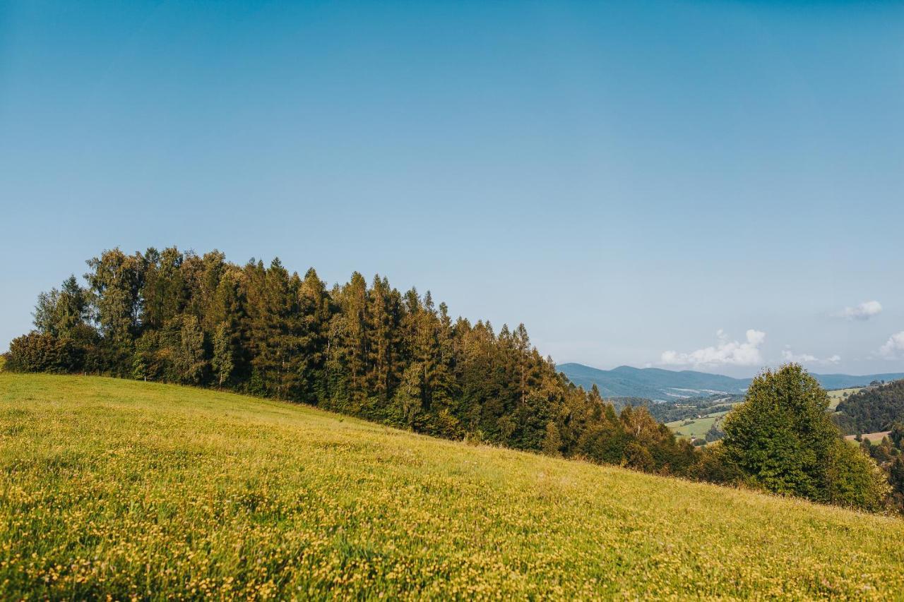 Pasieka - Dom Wypoczynkowy Bacza Esterno foto
