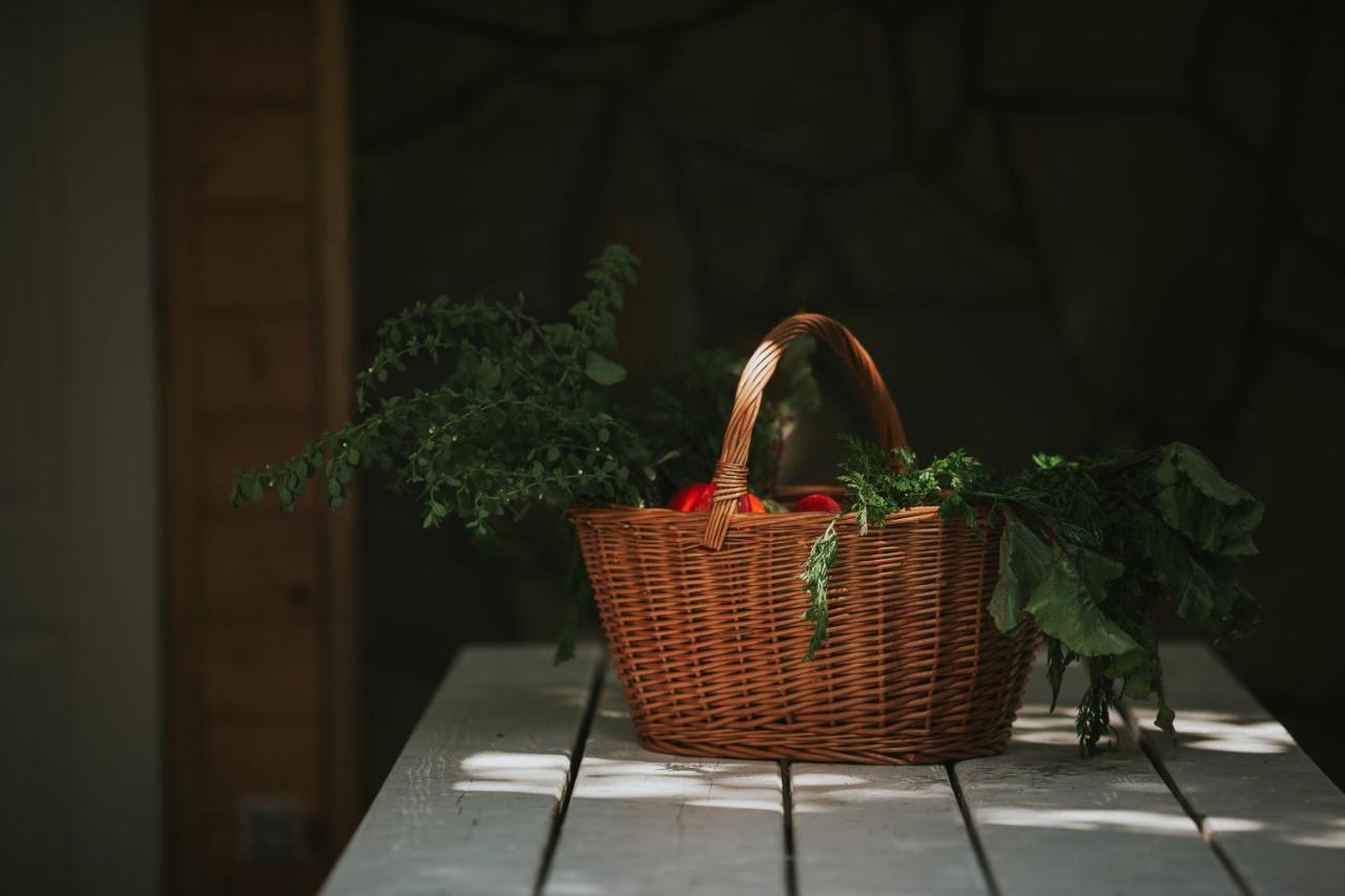 Pasieka - Dom Wypoczynkowy Bacza Esterno foto