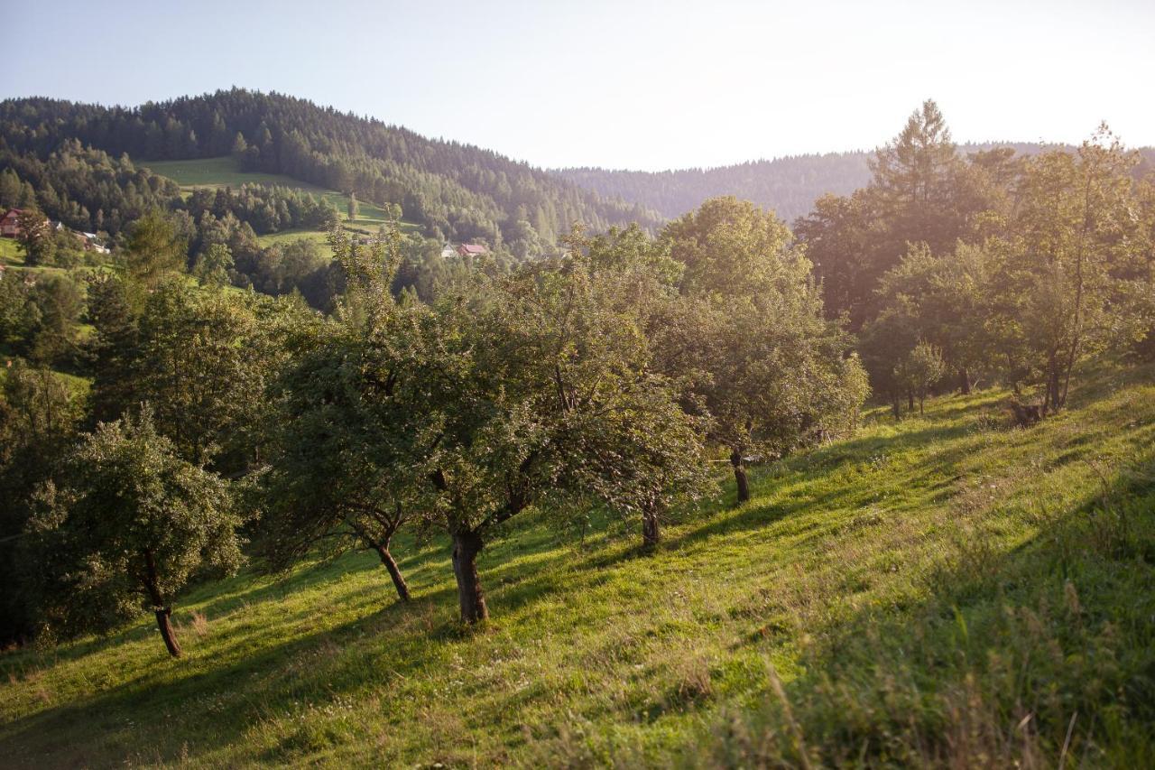 Pasieka - Dom Wypoczynkowy Bacza Esterno foto