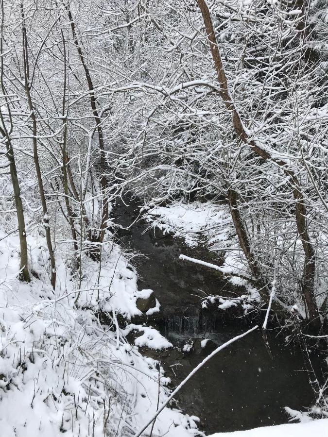 Pasieka - Dom Wypoczynkowy Bacza Esterno foto